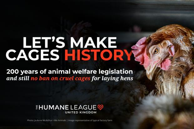 Falmouth Packet: The Humane League
