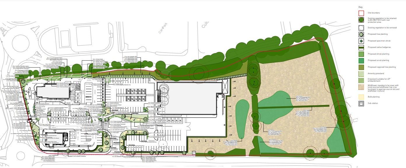 A new map showing the planned planting for the site at Hospital Cross  Picture: Pegasus/Cornwall Council