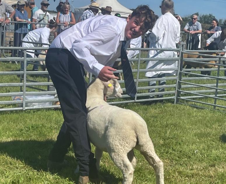 Royal Cornwall Show teenage sheep farmer Gillan, Manaccan 