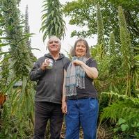 Cornwall couple claim to have grown UK's tallest echium 