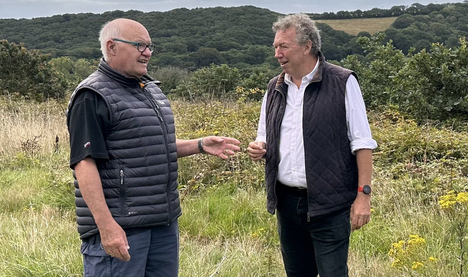 Revised plans for 275 new houses in Cornwall at Truro - Vimarsana News