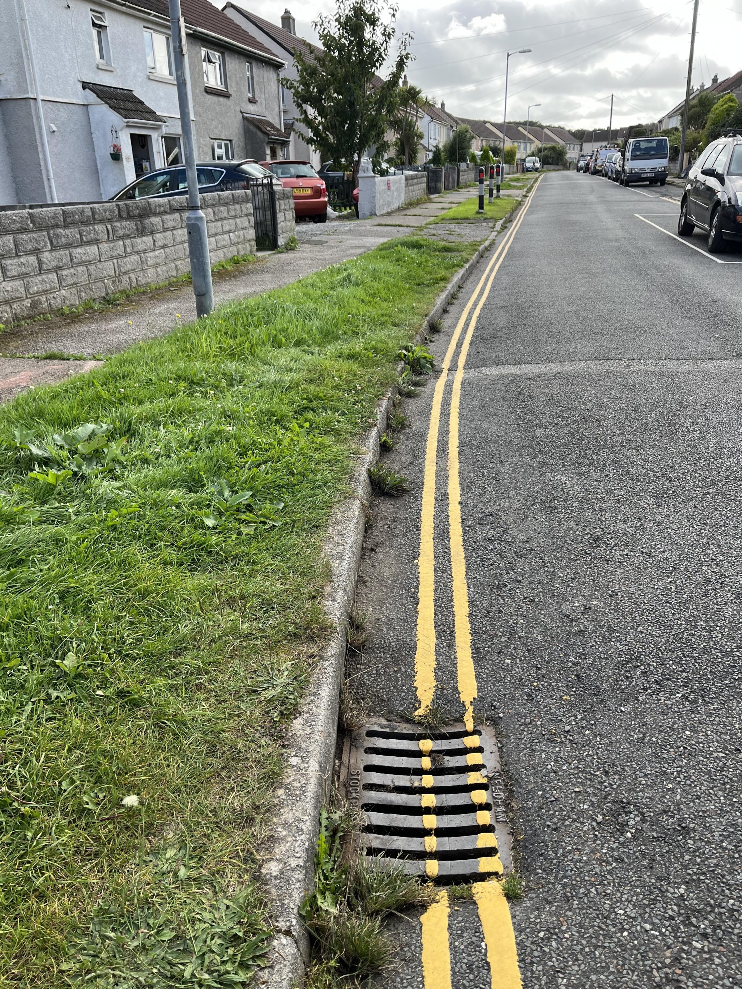 Double yellow lines on Coronation Road in Illogan (Pic: Lee Trewhela / LDRS)