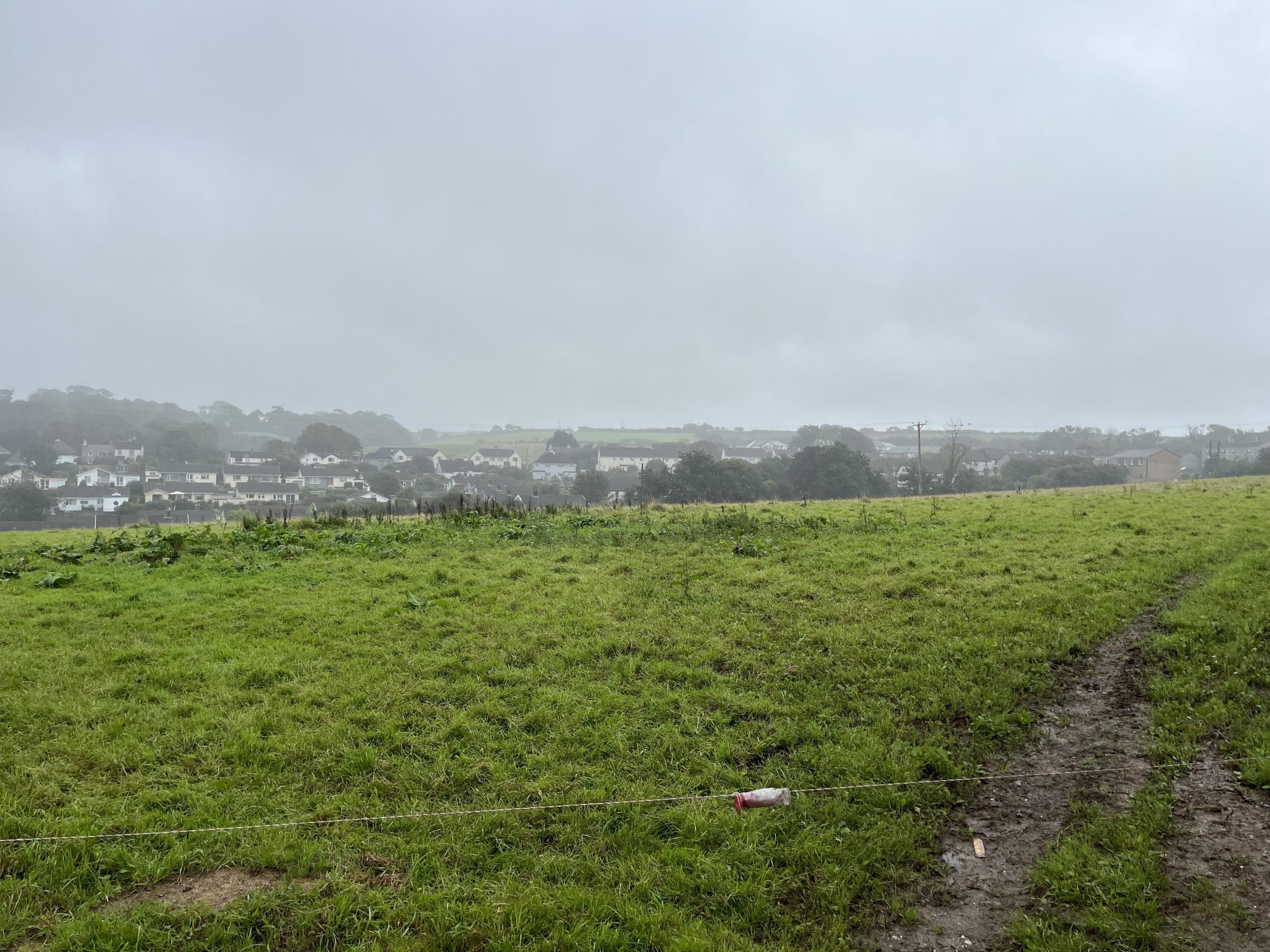 The field earmarked for affordable housing in Veryan (Pic: Lee Trewhela / LDRS)