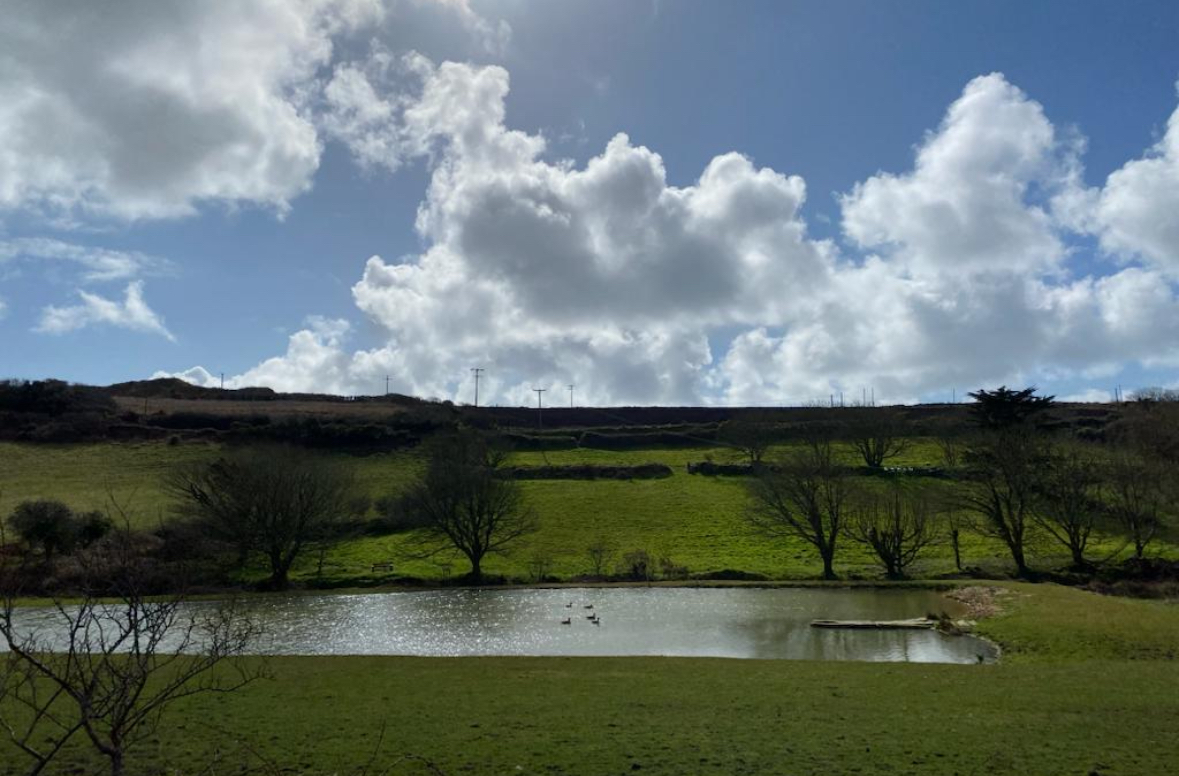 The pond created by Barnes Thomas in the Cot Valley near St Just (Pic: Barnes Thomas)
