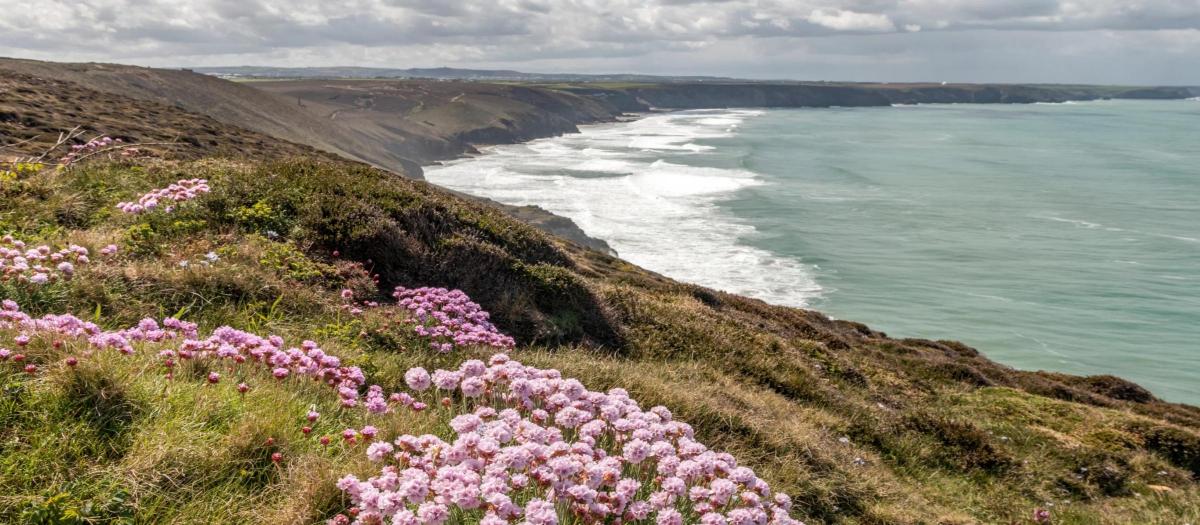 Our top ten New Year's Day winter walks in Cornwall with the National Trust 