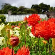 A St Austell garden attraction is set to be the host of a local society's annual show.