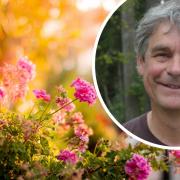 An internationally-renowned garden designer will be giving lectures in Cornwall at the start of December.