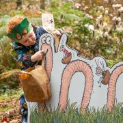 A new Superworm trail goes live at Cardinham Woods in Cornwall this January  Picture: Forestry England