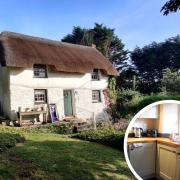 Dream home: Grade II listed Cornish cottage a short walk from village pub. Pictures: Rightmove