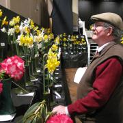 Ron Scamp, retired show president, at the Princess Pavilion flower show