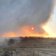 Firefighters tackled a large gorse fire on Goonhilly Downs. Picture St Keverne Community Fire Station/Facebook