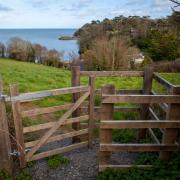 A kissing gate on the new stretch of coast path near Gillan  Picture: National Trust / Seth Jackson