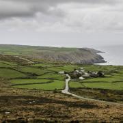 Cornwall's farmers are calling for food production to be the priority