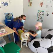 The therapy dogs are there for the children to pet whilst they receive their vaccinations. Credit: NHS