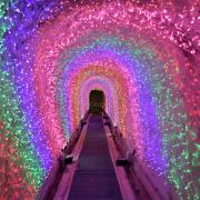 This year’s edition of the popular event will again centre around the UK’s longest indoor tunnels of Christmas lights.