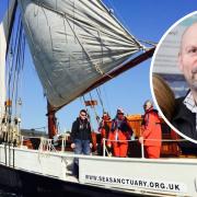 Joe Sabien, founder and CEO of Sea Sanctuary (inset) warns the charity faces closure without funding