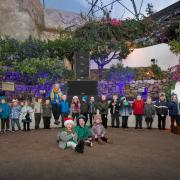 Sky primary and nursey at the Eden Project, Cornwall