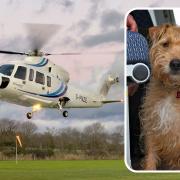 Penzance Helicopters have launched dog friendly helicopter flights, described as a UK first