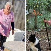 Carole Gravett before and after her weight loss