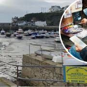 Porthleven Harbour Art Prize will take place next month