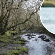 The Environment Agency is urging members of the public to be safe in open waters during the warmer months