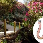 Superworm Trail at The Lost Garden of Heligan