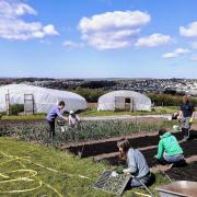Community growing schemes in Cornwall are flourishing