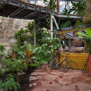 The award-winning Fauna & Flora Garden at its new home at the Eden Project