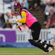 Goldsworthy in action for Somerset