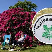 See how you can get a free National Trust pass this month.