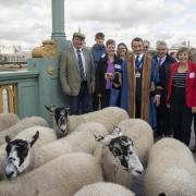 James Kittow (far left) joins the Master and other members of The Worshipful Company of Butchers as Freemen of The City whilst exercising their ancient right to drive sheep to market across the Thames toll free on Southwark Bridge.