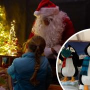 Trevena Garden Centre, near Helston has revealed dates for it's Santa's Grotto and Christmas event