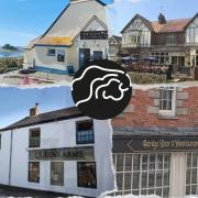 All four pubs run by West Cornwall Inns will close on Sunday landlord Matt Ferguson has announced