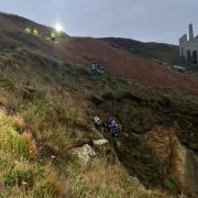 Coastguard crews from Cornwall successfully rescued the dog from a cliff on Tuesday