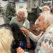 Several of the residents got to feed the horses some of their favourite treats