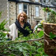 Sarah Yardley with the remaining stump of the tree chopped down in her garden in Wadebridge
