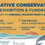 Creative Conservation takes place at The Welloe on International Whale Day, February 18
