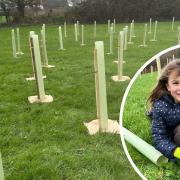Hundreds of tree saplings have been planted in Helston by a local Brownie unit