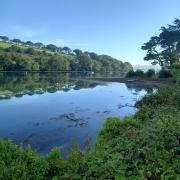 Mylor Creek is an area of outstanding natural beauty
