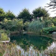 The annual showcase of private wildlife gardens across the region gives rare access to stunning yet hidden landscapes