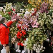 Thousands defied Storm Kathleen to enjoy the Cornwall Garden Society's Spring Flower Show
