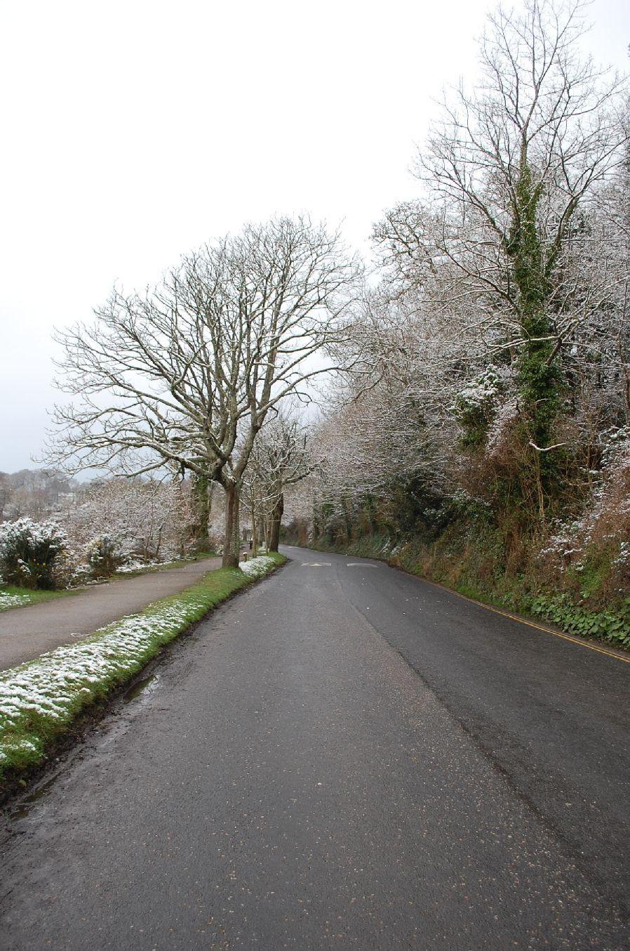 The road past Swanpool, Falmouth