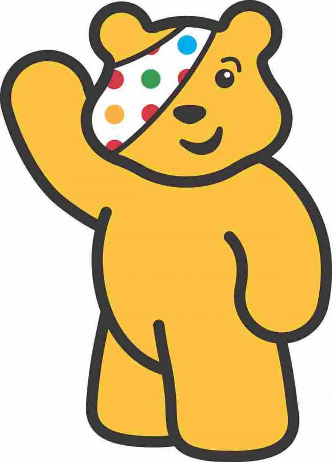 Image result for pudsey