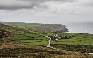 Cornwall's farmers are calling for food production to be the priority