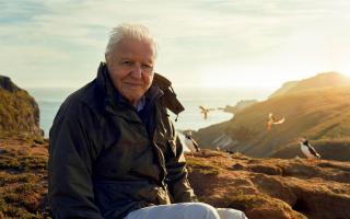 Sir David Attenborough is to present BBC series focusing on the British Isles  Picture: Silverback Films/BBC/PA