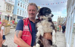 Big Issue seller Steve Corbett with his dog Blueberry  Picture: Nick Cuthbert