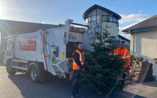 The charity teamed up with waste and recycling firm Biffa to collect and recycle trees from Devon, Cornwall, and Somerset in exchange for a donation
