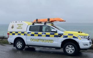 Falmouth Coastguard dealt with a potential dog collision injury and a police incident on the same day
