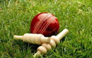 Somerset lost to Cornwall 263-5