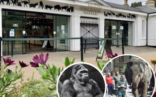 Bristol Zoo Gardens in Clifton is to shut after 186 years. Picture: PA
